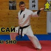 Ката Гекисай Шо Киокушинкай Каратэ So Kyokushin Karate Kata Gekisai