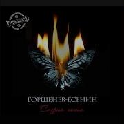 Не Ругайтесь Горшенев