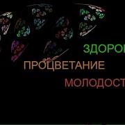 Вернуть Здоровье Молодость Красоту И Процветание I Гаятри Мантра