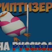 Мем Пингвин Орет Но Это Анимация