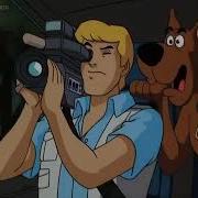 Scooby Doo Chasing Cat