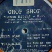 Demon Bitch Chop Shop