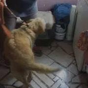 Мехр Ва Оқибат Хақида Ажоиб Қўшиқ Turdali Bobojonov Mehr Oqibat