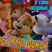 Бродяга Дождь Сергей Серков