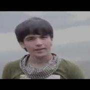 Давраи Чавони
