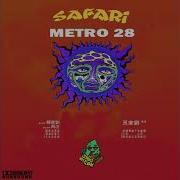 Safari Metro 28