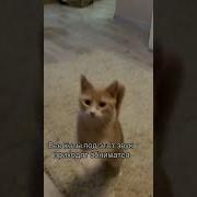 Парень Который Дружелюбен Ко Всем