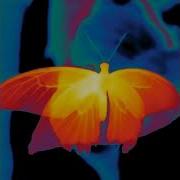 Free Bugga Autumn Archive