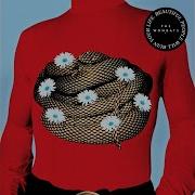 I Don T Know Why I Like You But I Do The Wombats