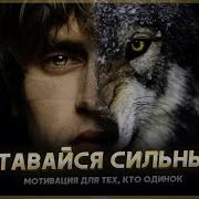 Мотивацая Одинокый Волк