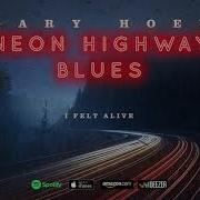 Gary Hoey I Felt Alive