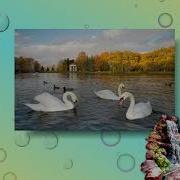 Христианские Песни На Украинском Языке