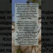 Мем С Волками