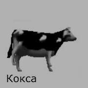 Корова Танцует Перевод