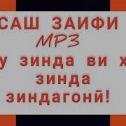 Ту Зиндаги Ху Зинда Зиндагони