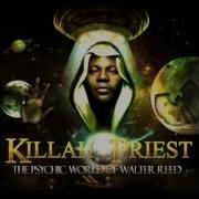 Killah Priest Visionz