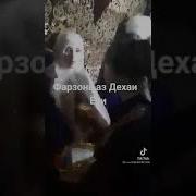 Мино Дилозори 2019 Соли Нави