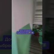 Ну Здравствуй Мама Меня Ни Кто По Прежнему Как Ты Не Любит