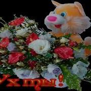 С Днем Рождения Однокласснику