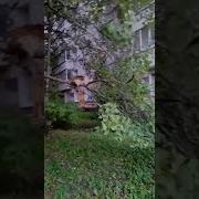 Ой А Что Это Ты Тут Делаешь
