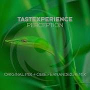 Tastexperience Perception Obie Fernandez Remix