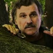 Гербарий Космос