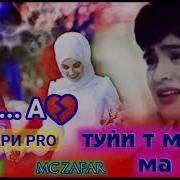 Шамоли Куча И Мира Буи Арусма