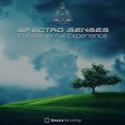 Spectro Senses Encode Message