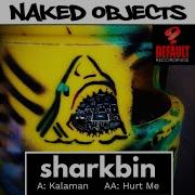 Naked Objects Kalaman