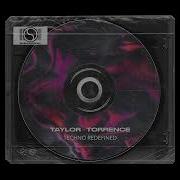 Taylor Torrence Techno Redefined