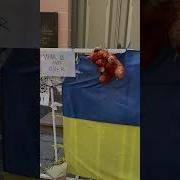 Широкий Простор Для Мечты И Для Жизни Мизулина