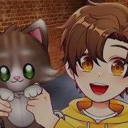 Tom Cat My