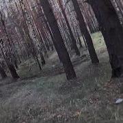 Покатушку На Тракторе Чих Пых
