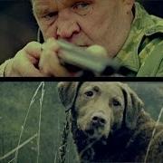Глеб Корнилов Бродячий Пёс