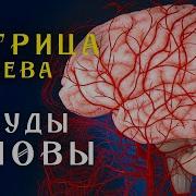 Софт Радио Матрица Гаряева