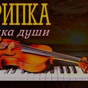 Скрипка Музыка Современная