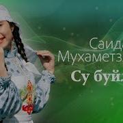 Саида Мухаметзянова Все Песни