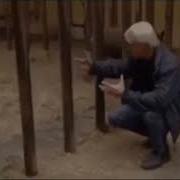 Носорог И Клетка Прикол Ох Как Он Сыбался Прикол
