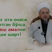 Жанозада Укиладиган 3 Чи Дуво