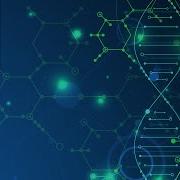 Human Element Paradigm Shift