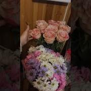 Модарчон Зодрузатон Муборак