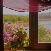 Стучала В Окна Звёздная Сирень