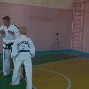 Таранин Владимир Степанович На Семинаре В Виннице 2610214 Taekwondo