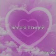 Околдуй Меня Минус