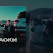 Хаски Stepagaaa