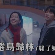 倦鳥歸林 影視劇 白日夢我 情感主題曲
