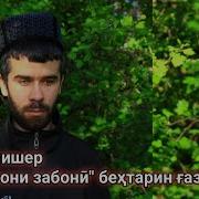 Кори Алишер Нашид
