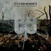 Mad Desire Cygnosic