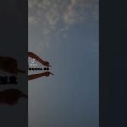 틱톡에서가져왔슴