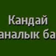 Қал Жағдай Қалай Не Істеп Жатырсың